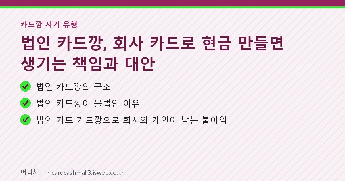 법인 카드깡 핵심 내용 요약